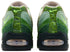 Nike Air Max 95 Big Bubble Ducks of a Feather Oregon Ducks The Woods
