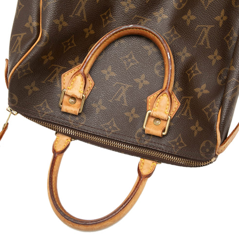 Speedy Handbag Monogram Canvas 25