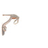 Women's Stuart Weitzman Nudist Sandals in Gold Synthetic