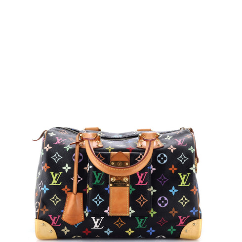 Speedy Handbag Monogram Multicolor 30