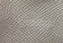 Clic Wallet Epsom 12