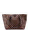 Caissa Tote Damier MM