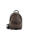 Palm Springs Backpack Monogram Canvas PM