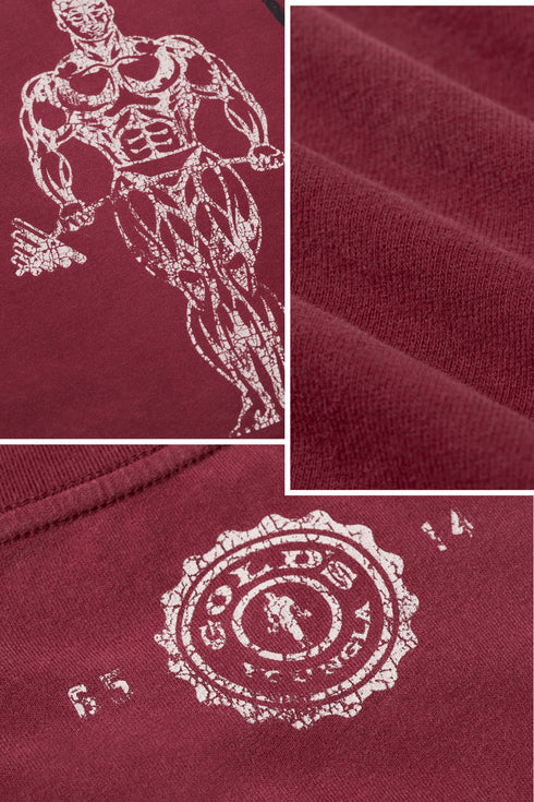 4213 - Gold's Iron Legacy Icon Tees
