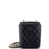 Vertical Classic Vanity Case with Chain Quilted Caviar Small
