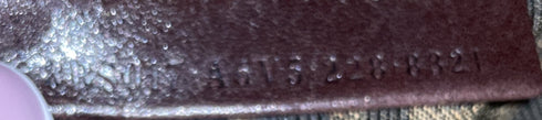 Baguette NM Bag Zucca Canvas Mini
