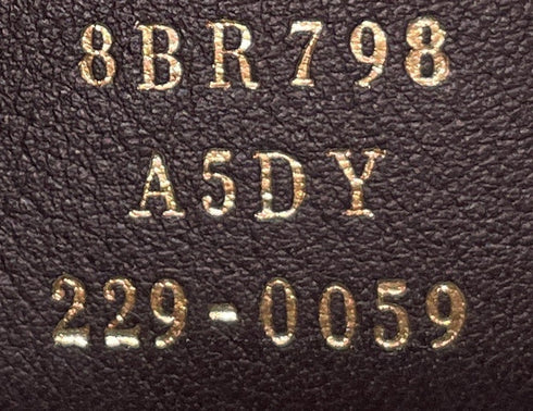 Fendigraphy Bag Leather Small