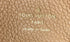 Ivy Wallet on Chain Bicolor Monogram Empreinte Giant