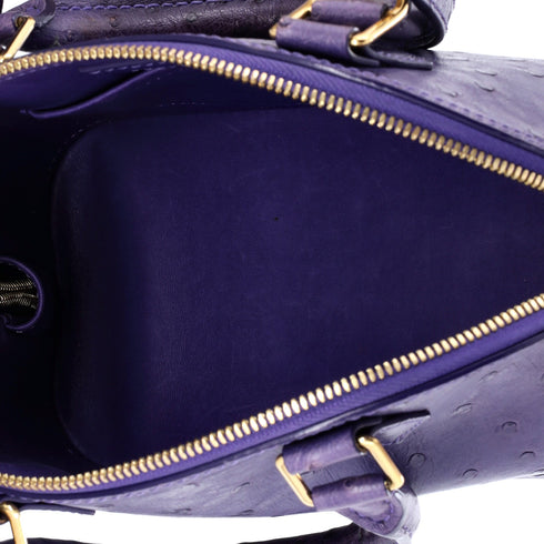 Alma Handbag Ostrich BB