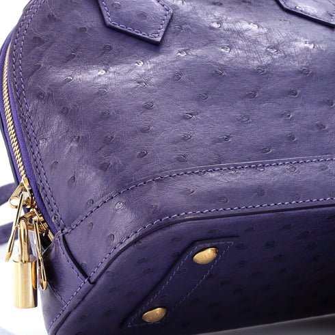 Alma Handbag Ostrich BB