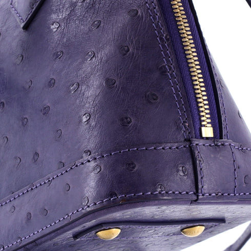 Alma Handbag Ostrich BB