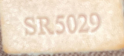 Palermo Handbag Monogram Canvas PM