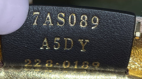 Fendigraphy Bag Leather Nano