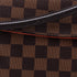 Recoleta Handbag Damier