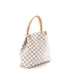 Graceful Handbag Damier PM