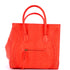 Phantom Bag Python Medium