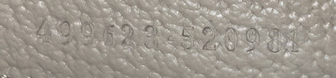 Dionysus Bag GG Coated Canvas with Leather Small