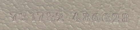 Dionysus East-West Flap Bag GG Coated Canvas Small