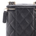 Vertical Classic Vanity Case with Chain Quilted Caviar Small