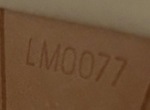 Houston Handbag Monogram Vernis