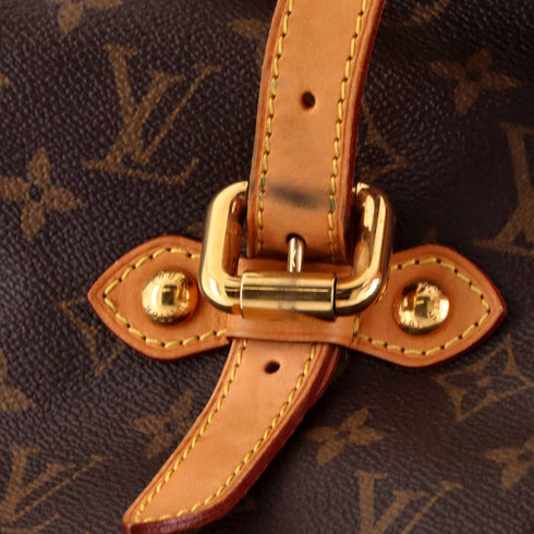 Palermo Handbag Monogram Canvas GM