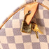 Speedy Handbag Damier 30
