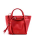 Big Bag Smooth Calfskin Small