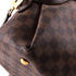 Salvi Handbag Damier