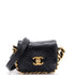 Framing Chain Flap Bag Quilted Calfskin Mini