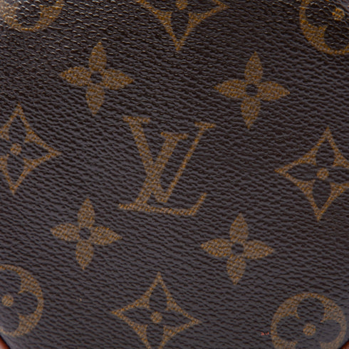 Papillon Handbag Monogram Canvas 26
