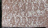 Horsebit NM Web Chain Clutch GG Canvas Medium