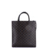 Vertical Cabas Tote Triomphe Coated Canvas Medium