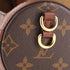 Papillon Trunk Bag Monogram Canvas