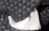 Canapa Convertible Tote Printed Canvas Medium