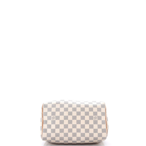 Speedy Handbag Damier 25