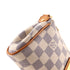 Eva Handbag Damier