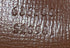 Jackie 1961 Hobo GG Coated Canvas Small
