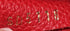 Surene Handbag Monogram Canvas with Leather MM