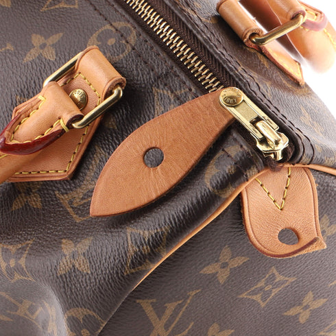 Speedy Handbag Monogram Canvas 25