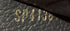 Vavin Chain Wallet Monogram Empreinte Leather