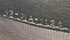 Saddle Chain Wallet Oblique Canvas