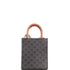 Vertical Cabas Tote Triomphe Coated Canvas Mini