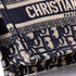 Book Tote Oblique Canvas Mini