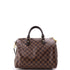 Speedy Bandouliere Bag Damier 30