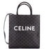 Vertical Cabas Tote Triomphe Coated Canvas Medium