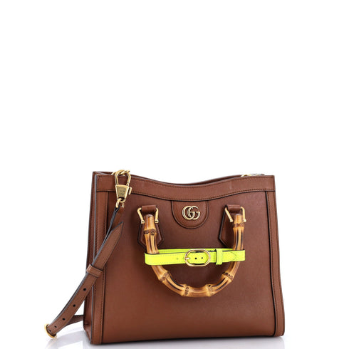 Diana NM Bamboo Handle Tote Leather Small