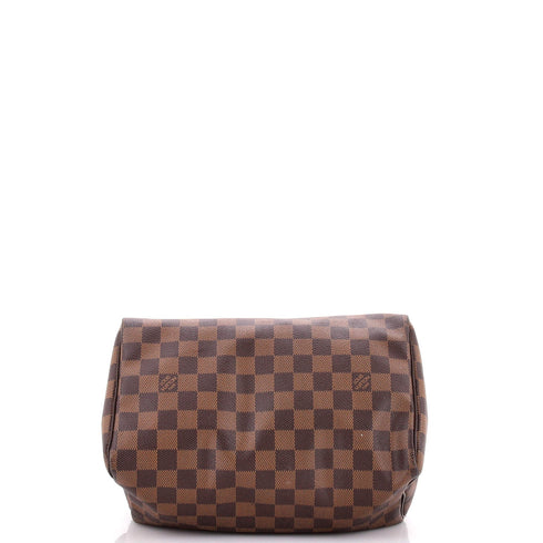 Speedy Handbag Damier 25