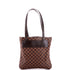 Clifton Handbag Damier