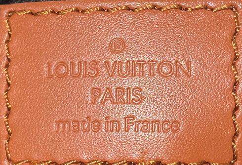 Dauphine Hobo Reverse Monogram Canvas PM