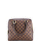 Brera Handbag Damier